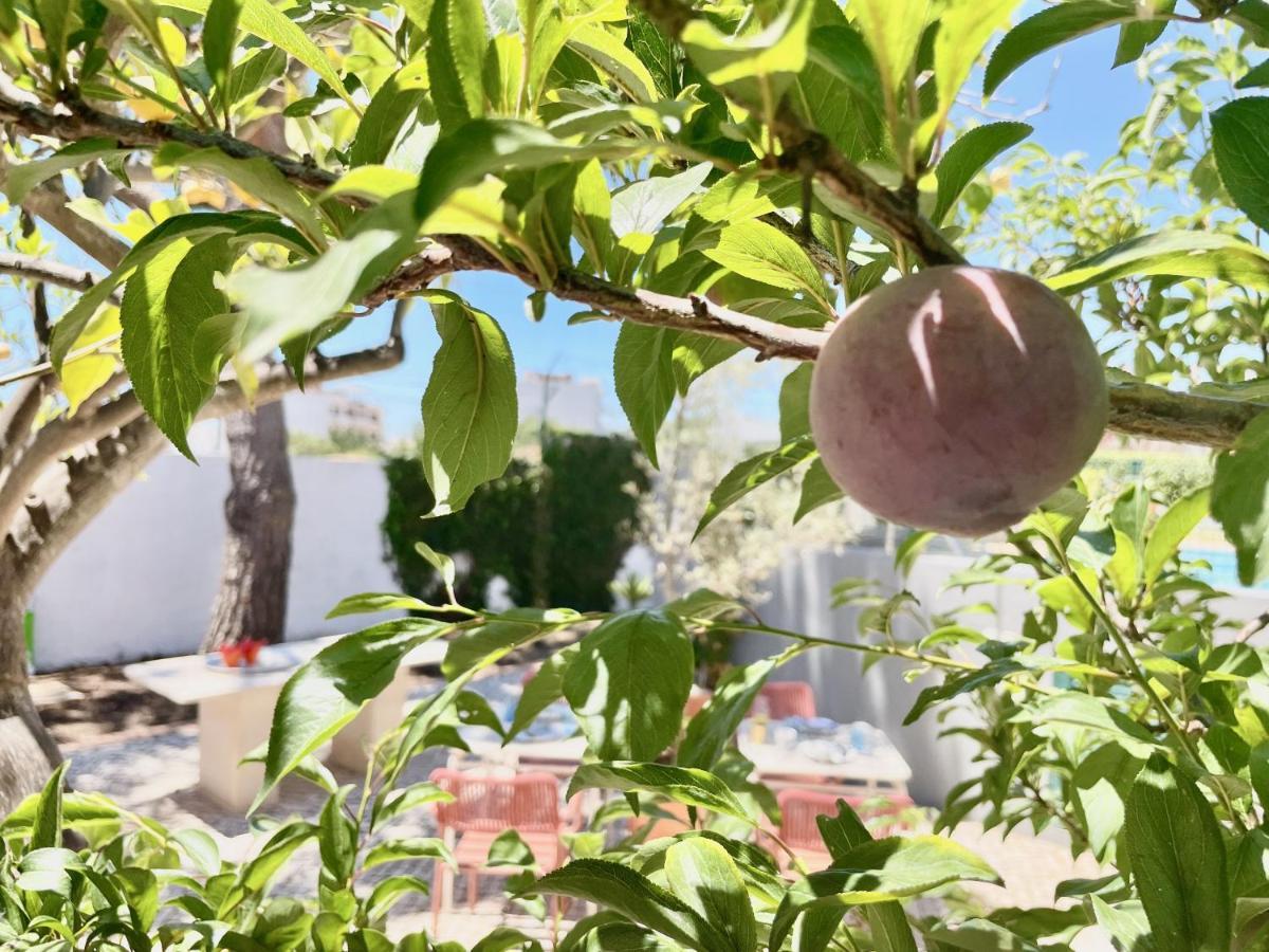 Olhão Charm Of The Algarve, Luxury Guesthouse Adults Only المظهر الخارجي الصورة
